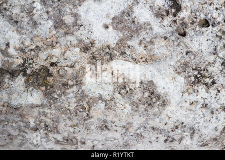 Natural marble pattern of the wall of the Basilica at Esztergom, Hungary Stock Photo