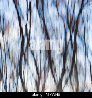 Nature abstract background with forest in autumn, Dobrogea land, Romania. Motion blur creative photo. Stock Photo