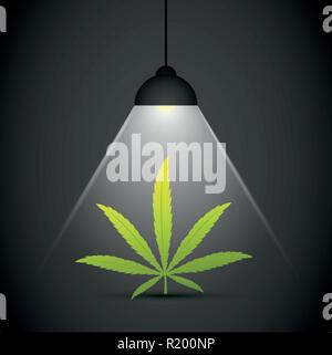 cannabis leaf in the spotlight vector illustration EPS10 Stock Vector