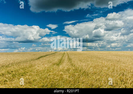 Technological path in the field, horizon and clouds in the sky Stock Photo