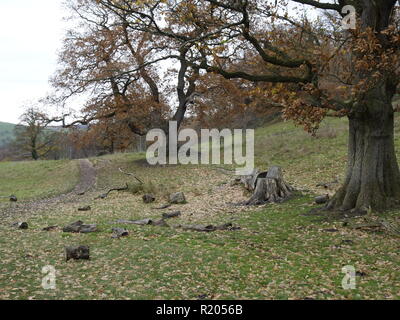 photo from around the Yorkshire Dales Stock Photo