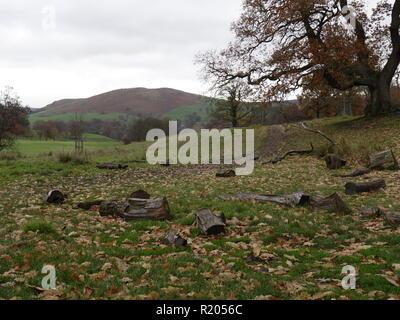 photo from around the Yorkshire Dales Stock Photo