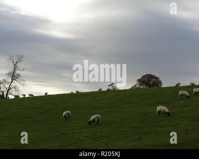 photo from around the Yorkshire Dales Stock Photo