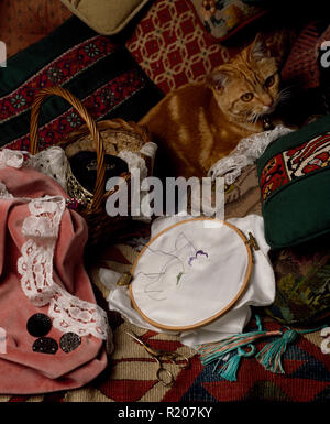 Ginger cat sitting among sewing materials Stock Photo