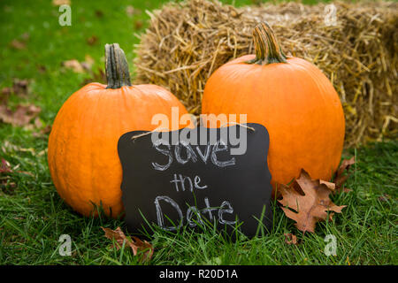 A save the date sign sitting against two pumpkins against a bale of hay in the fall. Stock Photo