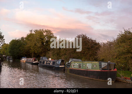 Narrowboats moored on the Ashby Canal near Burton Hastings, Warwickshire, England, UK Stock Photo