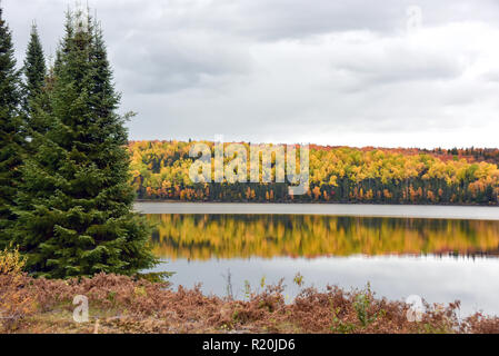 Autumn season, next to Val-d'Or, Quebec in the Abitibi-Témiscamingue region Stock Photo