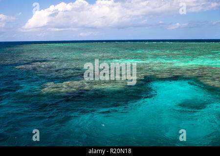 Argincourt Reef, Great barrier Reef, Queensland, Australia Stock Photo