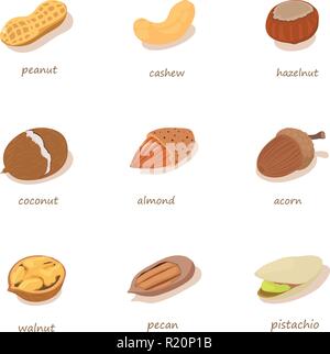 Forest nut icons set, isometric style Stock Vector