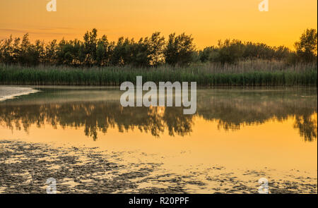 Sunrise safari at Rhino Park outside Cullinan, South Africa Stock Photo