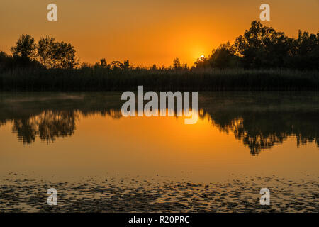 Sunrise safari at Rhino Park outside Cullinan, South Africa Stock Photo