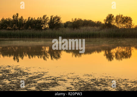 Sunrise safari at Rhino Park outside Cullinan, South Africa Stock Photo