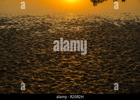 Sunrise safari at Rhino Park outside Cullinan, South Africa Stock Photo