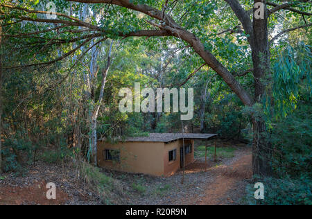 Sunrise safari at Rhino Park outside Cullinan, South Africa Stock Photo