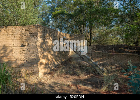 Sunrise safari at Rhino Park outside Cullinan, South Africa Stock Photo