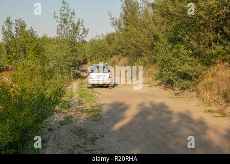 Sunrise safari at Rhino Park outside Cullinan, South Africa Stock Photo