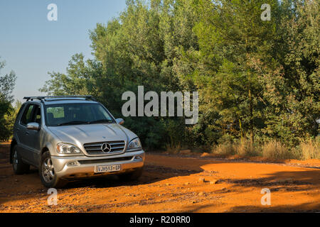 Sunrise safari at Rhino Park outside Cullinan, South Africa Stock Photo