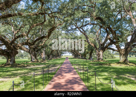 Impression of Oak Alley Plantation Stock Photo