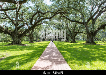 Impression of Oak Alley Plantation Stock Photo