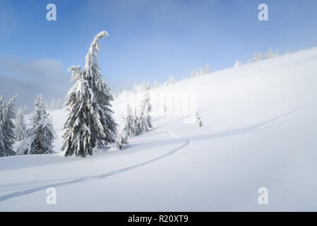 Winter background with copy space. Snowy weather in the mountain forest. Spruce trees and footpath in the snow Stock Photo