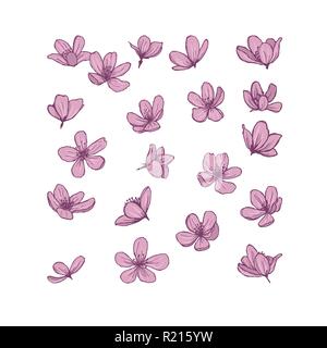 Gentle spring blooming flowers for your design. Stock Vector