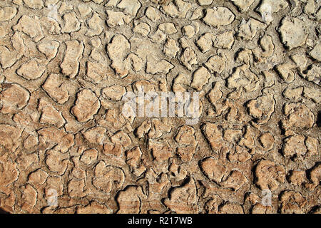 Greenhouse effect and global warming - dry cracked soil in Africa Stock Photo