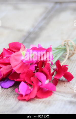 Lathyrus odoratus - Spencer variety. Freshly cut bunch of sweet pea flowers on wooden table, UK Stock Photo