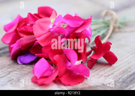 Lathyrus odoratus - Spencer variety. Freshly cut bunch of sweet pea flowers on wooden table, UK Stock Photo