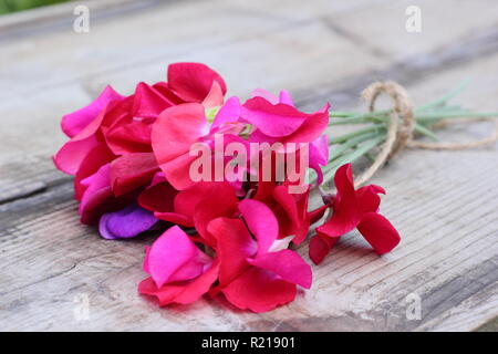 Lathyrus odoratus - Spencer variety. Freshly cut bunch of sweet pea flowers on wooden table, UK Stock Photo