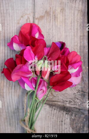 Lathyrus odoratus - Spencer variety. Freshly cut bunch of sweet pea flowers on wooden table, UK Stock Photo