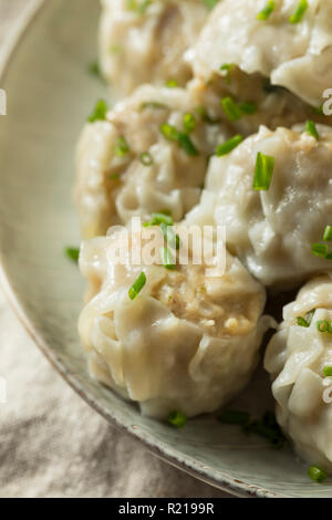 Homemade Pork Shu Mai Dumplings with Dipping Sauce Stock Photo