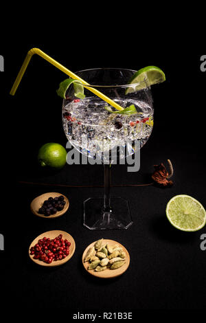 tasty and fresh gin and tonic cocktail on a black background next to your ingredients Stock Photo