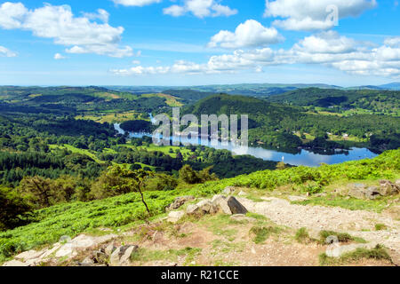 The view over south end of Lake Windermere from the path to Gummers How on a beautiful summer morning. Gummers How is a well known viewpoint in The Lake District, Cumbria, UK. Stock Photo