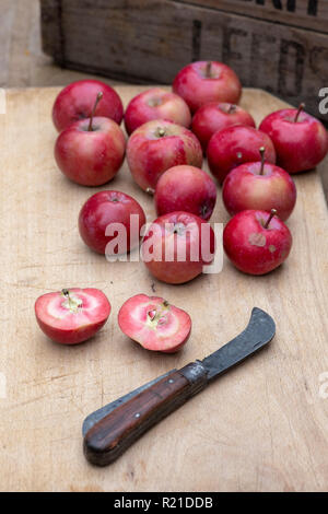 Malus domestica. Apple ‘Redlove era’. Harvested 'Redlove Era' Apples on a woodenboard some of which have been cut in half to show the red flesh Stock Photo