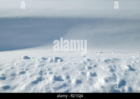 Slanting Rays Slanting rays of the sun showing the texture of snow Stock Photo - Alamy