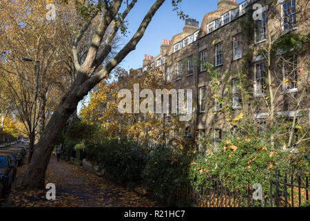 A tall plain tree leans at a significant angle towards period homes on Camberwell Grove, on 11th November 2018, in London, England. Stock Photo