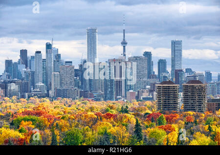 Toronto autumn skyline including major downtown and midtown landmark buildings with tree fall colors in foregound Stock Photo