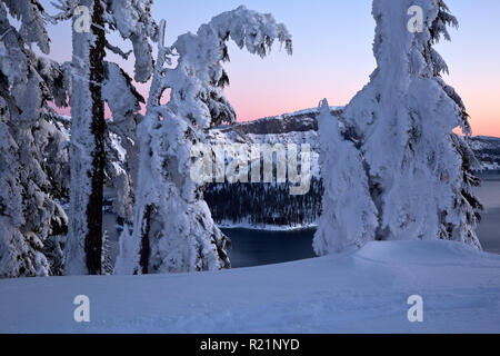 OR02417-00...OREGON - Trees covered with snow and ice overlooking Crater Lake, Wizard Island and Llao Rock beyond at dawn from the West Rim Road at Cr Stock Photo