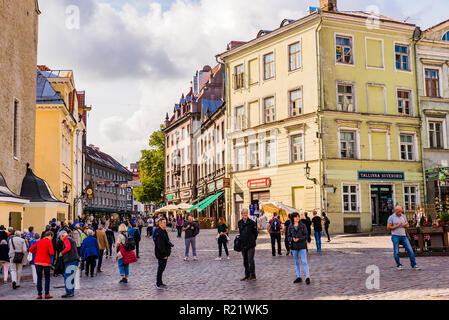 Tallinn Old City, Town hall square. Tallinn, Harju County, Estonia, Baltic states, Europe. Stock Photo