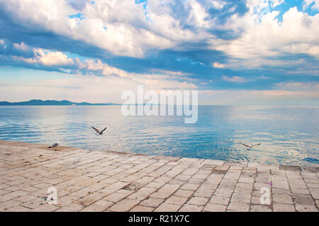 Seagulls flying low above stone tiles pavement near the sea shore against the background of a hill range and dramatic cloudy morning sky. Zadar, Croat Stock Photo