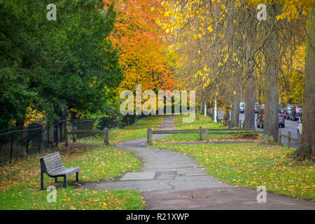Red and yellow autumn leaves on trees above a pedestrian footpath on The Backs in Cambridge, UK Stock Photo