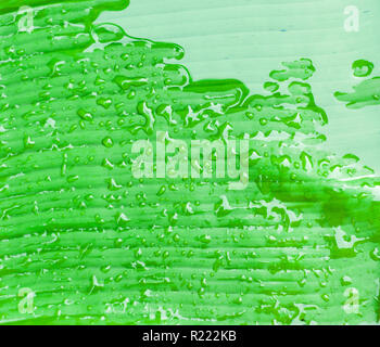 Rain drops on the banana leaf Stock Photo