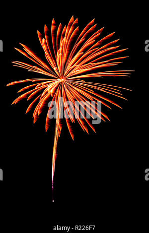 Firework. Stock Photo