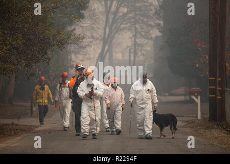 A Sonoma County Search and Rescue team continues a search for missing ...