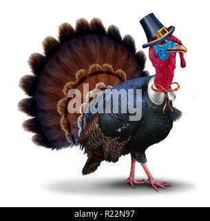 Thanksgiving turkey character wearing an autumn seasonal pilgrim costume as a funny bird icon on a white background with 3D illustration elements. Stock Photo