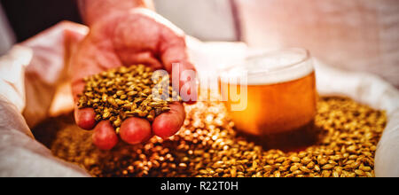 Man holding barley by beer glass in sack at brewery Stock Photo