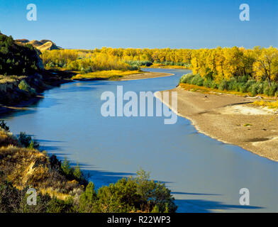 fall colors along the yellowstone river at elk island wildlife management area near savage, montana Stock Photo