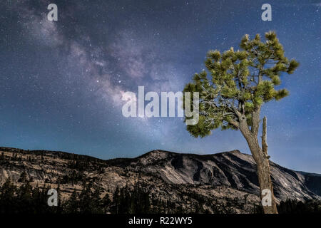 The Milky Way Galaxy stretches across the night sky over a great moonlit granite monolith know as Clouds Rest as seen from Olmsted Point in the high c Stock Photo