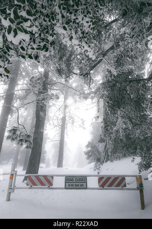 Road Closure Gate of a mountain road covered in snow and surrounded by snow covered trees. Located on Black Mountain Road in Idyllwild, California, US Stock Photo
