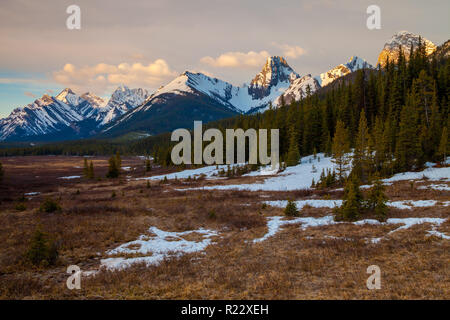The mountains and a meadow in Kananaskis Alberta, Canada Stock Photo